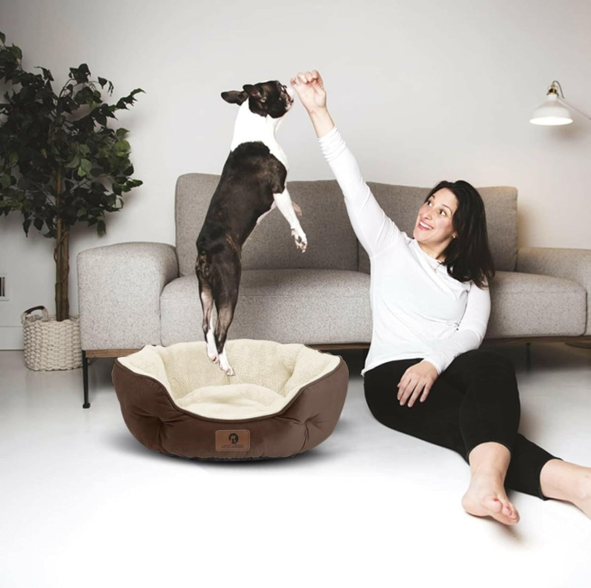 20-Inch Pet Bed: Perfect for Puppies & Kittens